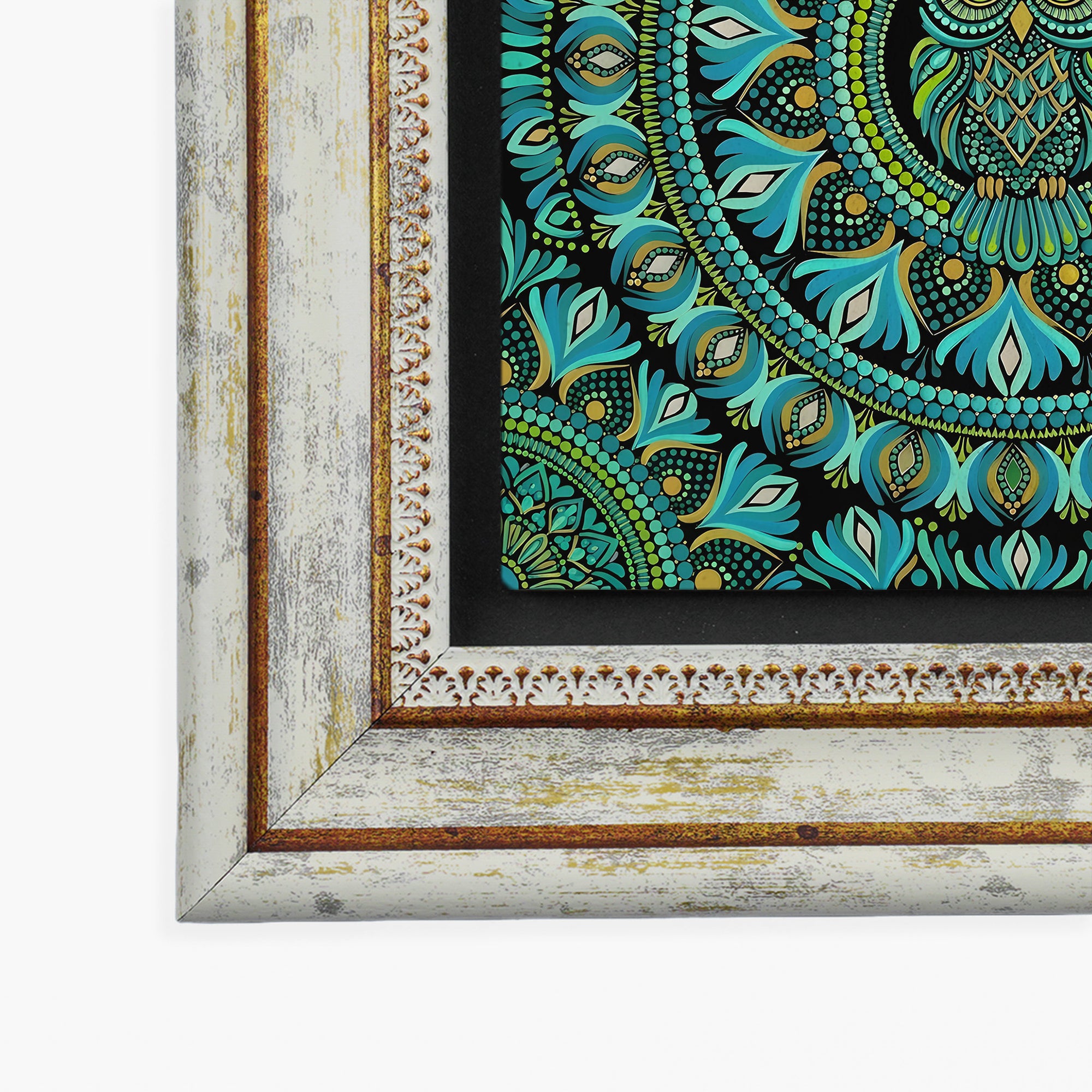 Peacock Turtle Owl Mandala Trio Wall Art